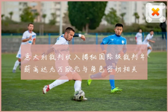 意大利裁判收入揭秘国际级裁判年薪高达九万欧元与角色密切相关