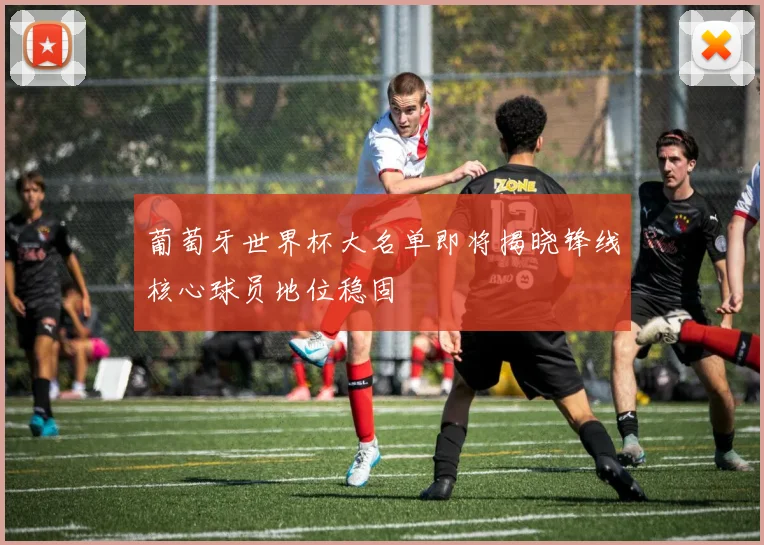 葡萄牙世界杯大名单即将揭晓锋线核心球员地位稳固